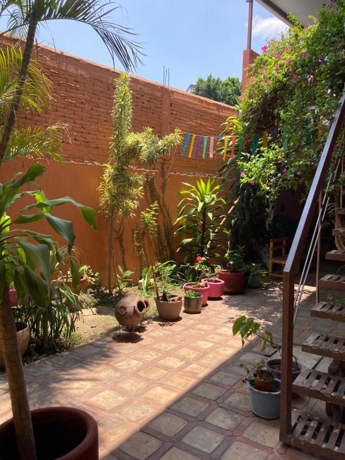 Calida Habitacion A 10 Min De Santo Domingo Oaxaca Eksteriør bilde